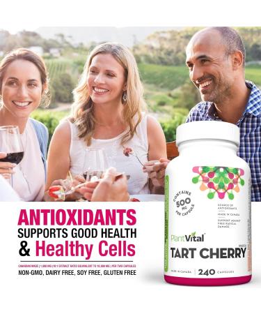 PlantVital Tart Cherry Capsules -10 000mg Per Day -10:1 Cherry Extract - Montmorency Tart Cherry Supplement for Antioxidants - Made in Canada - 2 Months Supply -120 Capsules (240 Count (Pack of 1))  - Buy Online on GoSupps.com