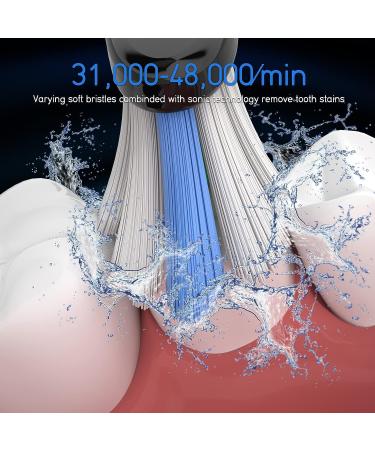 Olybo Sonic Toothbrush Replacement Brush Heads - Z-black - Buy Online on GoSupps.com