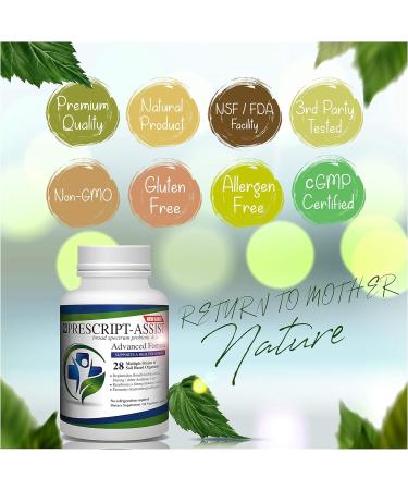 Buy Added Pea Protein 60 Caps - Plant-Based Protein Supplement for Muscle Growth | International Shipping - Buy Online on GoSupps.com