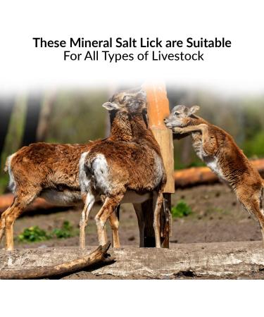 Himalayan Nature 100% Natural Rock Deer Salt Block 2-5 lbs - Animal Licking Mineral Salt Block - Buy Online on GoSupps.com