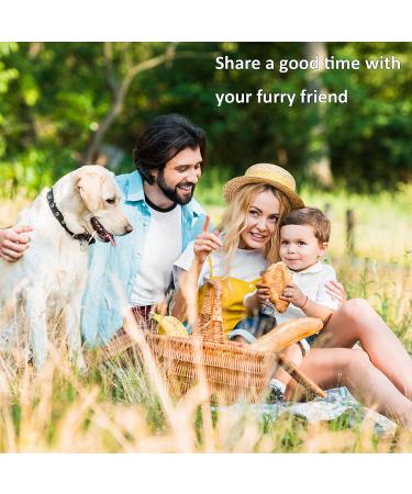 Tminnov Self Cleaning Dog Brush for Shedding and Grooming | Deshedding Tool for Dogs, Cats, and Rabbits | Removes Loose and Tangled Hair | Grooming Brush - Buy Online on GoSupps.com