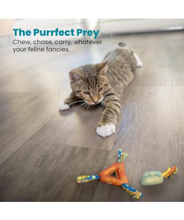 Petstages Catnip Dental Health Chews - Dental Care Chew Toys for Cats | Multicolored 2 Pack Teething Chews for Fresh Breath & Healthy Teeth - Buy Online on GoSupps.com