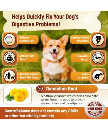 GastroBalance Constipation Relief for Dogs - 60 Soft Chews | 100% Natural Laxative for Dogs - Fast Shipping Worldwide - Buy Online on GoSupps.com