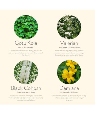 KLORIS Menopause Patches - Natural Relief for Hot Flashes, Night Sweats & Mood Swings - Buy Online on GoSupps.com