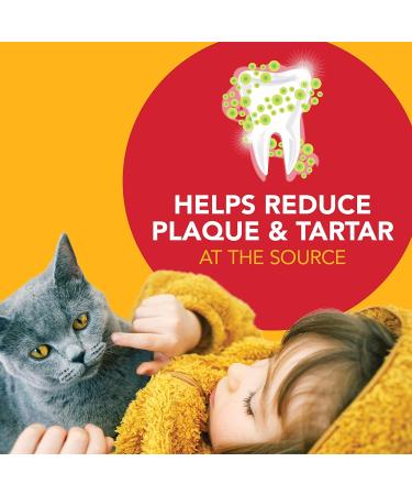 Petrodex Dental Kit for Cats Malt Flavor Toothpaste 2.5 Oz 70.87 g (Pack of 1) - Buy Online on GoSupps.com