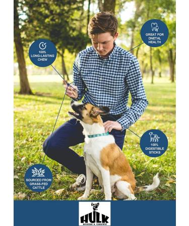 HULK s All-natural Odor Free Bully Sticks for Dogs 3 to 5-inch Sizes (225g+) Pack - 100% Free Range Grass Fed Sourced Beef Sticks for Dogs. Long Lasting Premium Graded Beef Dental Chews. Best Suited Bully Sticks for Puppies and Small Dogs. Free of Hormone - Buy Online on GoSupps.com