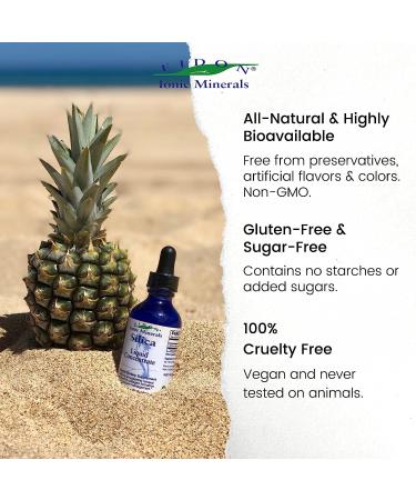 Eidon Liquid Silica Mineral Concentrate - Silica Supplement for Hair & Collagen - Vegan, Gluten-Free, Natural & Bioavailable - Ionic Formula with No Artificial Colors or Preservatives - 2 oz Bottle - Buy Online on GoSupps.com