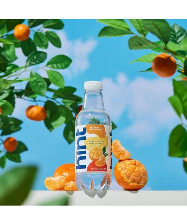 Buy Hint Water Tangerine - Zero Sugar Zero Calories Pure Tangerine Infused Water (Pack of 12) - International Shipping Available - Buy Online on GoSupps.com
