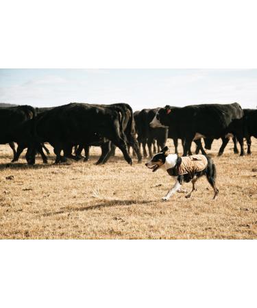 Carhartt Men's Firm Duck Insulated Dog Chore Coat - Small Black - Durable & Warm Workwear - Buy Online on GoSupps.com