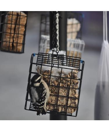 C&S Wild Bird Double Suet Basket  2.7" D x 5.3" W x 5.2" H - Buy Online on GoSupps.com