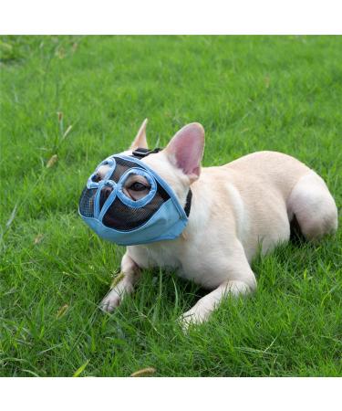 Jyhy Adjustable Muzzle for Short Snout Dogs | Breathable Mesh Bulldog Mask for Training | Size S (23-31 cm) - Blue - Buy Online on GoSupps.com
