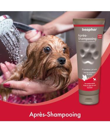 BEAPHAR Premium Dog Conditioner - Natural Grapeseed & Strawberry Oil Extracts - Nourishing & Protecting - Makes Hair Soft & Shiny - pH Neutral & Paraben Free - 250ml - Buy Online on GoSupps.com