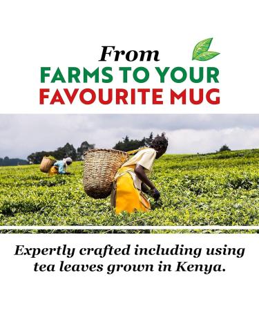 PG Tip English Breakfast Refreshing British Classic Black Tea | Rich & Robust for Mornings | Premium Quality Taste of England in Every Cup 100% Natural - Tea Bags | Pack of 6 x 25 25 Count (Pack of 6) - Buy Online on GoSupps.com