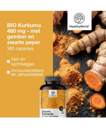 Be Healthy Group doo BIO Turmeric 480 mg with Ginger and Black Pepper 365 Capsules 1 year supply Combination of Natural Ingredients To Support the Immune System and the Whole Body - Buy Online on GoSupps.com