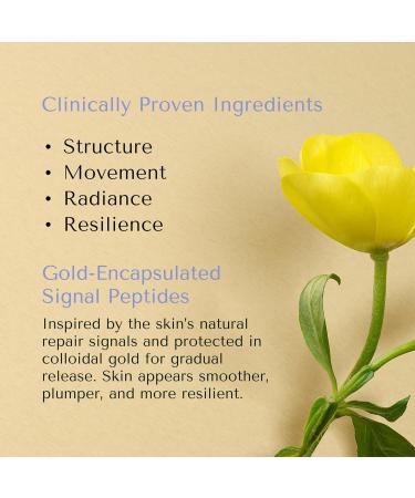 Nocturnal Skincare Polar Night Renewal Serum | Patent-Pending Night Repair Serum with Copper Peptides Niacinamide & Nordic Oats 15ml (Refill) Refill - 15ml - Buy Online on GoSupps.com