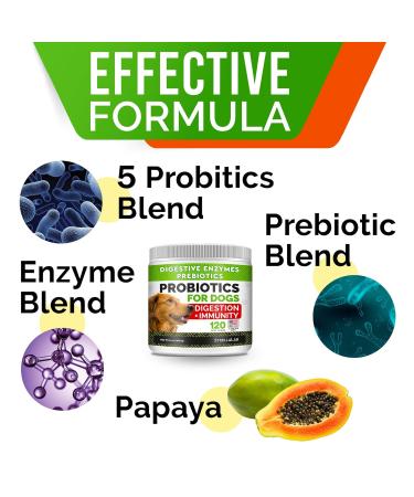 Easy Life Profito & Supplements - 38 Varieties 250ml-5L | Easy Carbo 1L Available - International Shipping - Buy Online on GoSupps.com