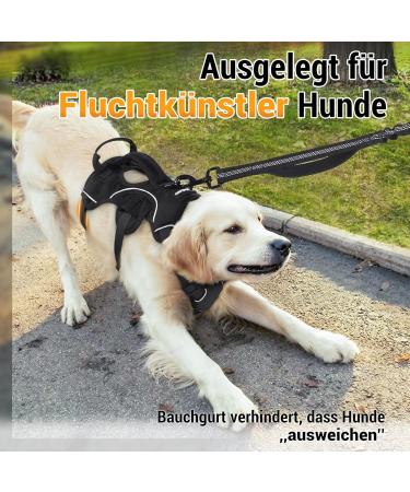 Buy Rabbitgoo No-Pull Dog Harness with Handle | Adjustable Vest for Large Dogs | Safe Control & Comfort | Outdoor Training | 1 Pack - Black - Buy Online on GoSupps.com