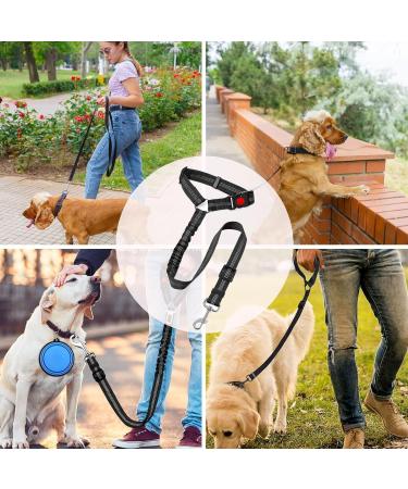 Adjustable Dog Car Seat Belt & Safety Harness - Buckling Accessory for Back Seat & Trunk - International Shipping - Buy Online on GoSupps.com