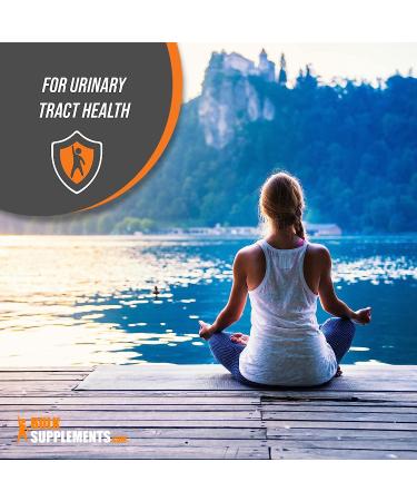 Damiana Extract Powder - Herbal Supplement - 400mg per Serving - 250g - 8.8 oz Pack - Buy Online on GoSupps.com