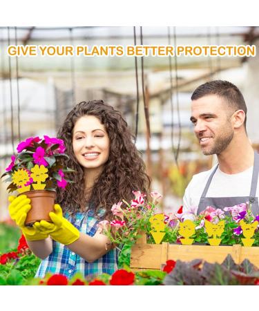 60-Piece Yellow Stickers for Fungus Gnats | Safe Odorless Adhesive Traps for Houseplants & Flowers - Effective Indoor & Outdoor Fly Control - Buy Online on GoSupps.com
