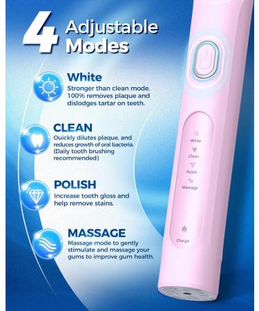 Rotating Electric Toothbrush for Adults with 8 Brush Heads (2 Types) 4 Modes Deep Clean Electric Toothbrush with Rechargeable Power and 2 Min Smart Timer Pink 2-pink - Buy Online on GoSupps.com