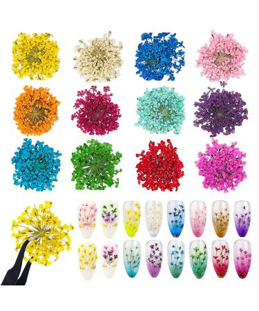 Warmfits Dried Flowers for Nails 120pcs/set - Gypsophila, Five Petals Flowers, Leaves, Hydrangea Macrophylla - Nail Art & Resin Craft DIY - Buy Online on GoSupps.com