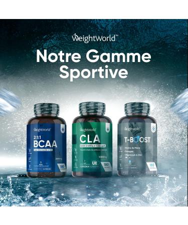 Creatine Monohydrate Powder 500g - Micronized Creatine Monohydrate 165 Servings - Buy Online on GoSupps.com