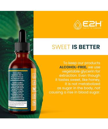 E2H EARTH TO HUMANS Vitamin D3 & K2 Supplement for Immune Support - Liquid Vitamin D3 5000 IU - Made in The USA | Non-GMO Vegan - (2 Bottles) 1 Fl Oz (Pack of 2) - Buy Online on GoSupps.com