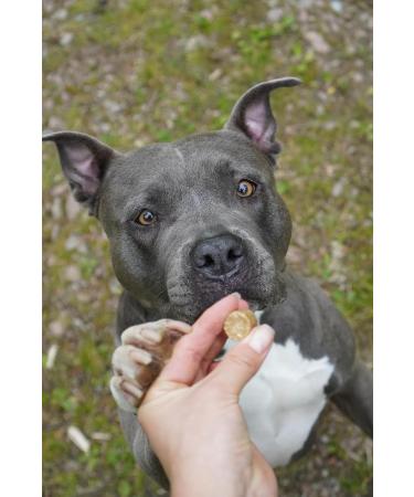 Landgut-Schmaus Mini - 2.5 kg. Hypoallergenic grain-free dog food based on insect protein from Bellfor. Ideal for small breeds. - Buy Online on GoSupps.com