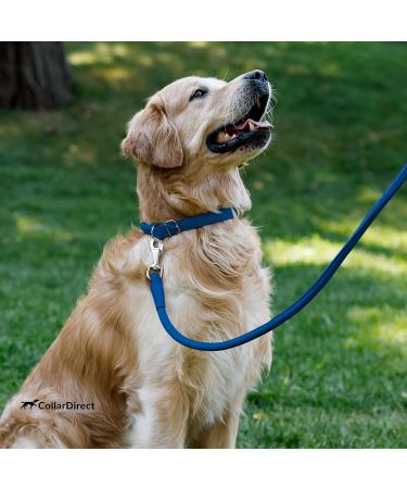 Collardirect Handmade Round Leather Dog Collar - Soft Padded Real Leather for Dogs & Cats - 15-18 cm - Available in Black Pink Red Purple Blue Marine - Buy Online on GoSupps.com