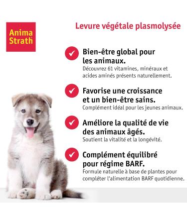 ANIMA-STRATH Fortifying and Natural Liquid Food Supplement for Dogs and Cats - Support for immunity and digestion with 61 Micronutrients Vitamins Minerals Amino Acids - Buy Online on GoSupps.com