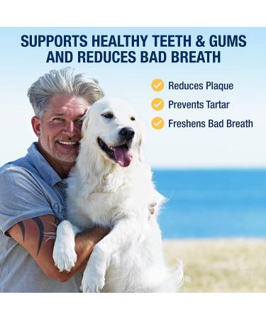 ProDen PlaqueOff Powder 420g - Dental Care for Cats and Dogs - Buy Online on GoSupps.com