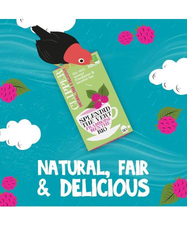 CLIPPER - Organic Green Tea - Splendid - Raspberry and Mint - 20 Organic Tea Bags - 1 pack - 35g - Buy Online on GoSupps.com