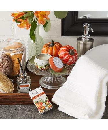 Autunno Home Frangrance Collection Candle 3.5 oz Harvest Spice 5984 Harvest Spice Candle 3.5 Ounce - Buy Online on GoSupps.com