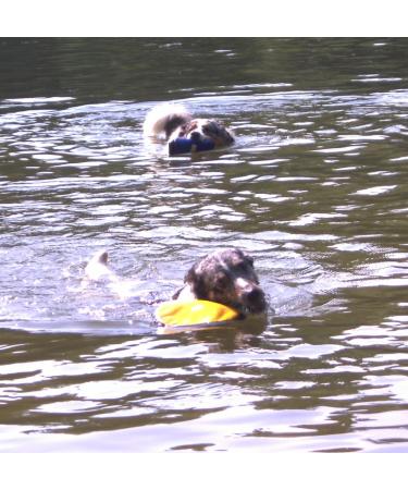 Buy DOGS and MORE Floatable Fabric Frisbee - Large Green Dog Toy | Durable Frisbee Disc for Dogs - Perfect for Outdoor Play - Buy Online on GoSupps.com