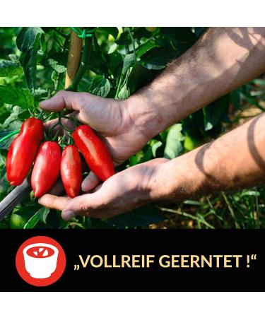 Buy Delicret Naples Pizza Kit - Authentic Caputo Pizzeria Flour San Marzano Tomatoes & Yeast - Neapolitan Pizza Recipes & Storage Included - Buy Online on GoSupps.com