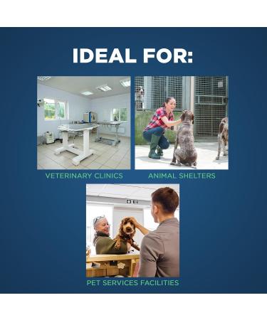 Prevail One-Step Disinfectant Cleaner & Deodorizer Concentrate for Veterinary Use Animal Shelters Pet Foster Homes Kennels Litter Boxes 3.78 Litre/1 Gallon - Buy Online on GoSupps.com