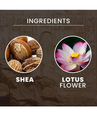 Tesori d'Oriente Crema Corpo Fior di Loto e Shea Body Cream with Lotus Flower and Shea 300 ml + 1 x Felce Azzurra Talcum Powder 100 g Pack of 6 - Buy Online on GoSupps.com