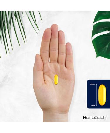 Omega 3 Capsules High Strength 2000mg with 660mg of EPA and 440mg of DHA | 120 Count (2 Months Supply) | Natural Source of Omega 3 Fish Oil | by Horbaach - Buy Online on GoSupps.com