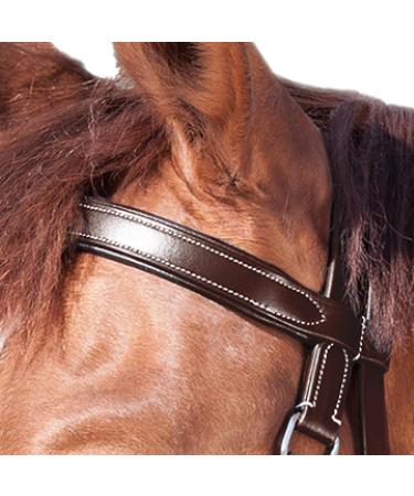 Shop WALDHAUSEN Star Bitless Bridle for Warmbloods Brown | International Shipping Available - Buy Online on GoSupps.com