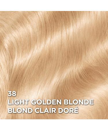 L Or al Paris Superior Preference 9 weeks of Luminous Fade-Defying Permanent Hair Dye 38 Light Golden Blonde 100% Grey Coverage 1 Hair Dye Kit (Packaging May Vary) Light Golden Blonde 1 Count ( Pack Of 1 ) - Buy Online on GoSupps.com