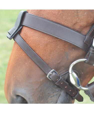 Shires Velociti GARA Flash Attachment Havana