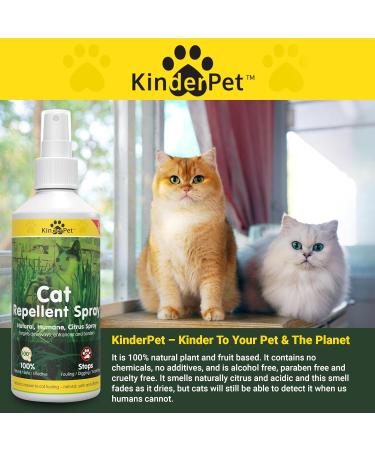 KinderPet Eco Cat Repellent Anti Fouling Spray Stop Cats Deterrent Stops Fouling Digging Scratching Christmas Tree Stop Cat Natural Humane Citrus Spray 250ml - Buy Online on GoSupps.com