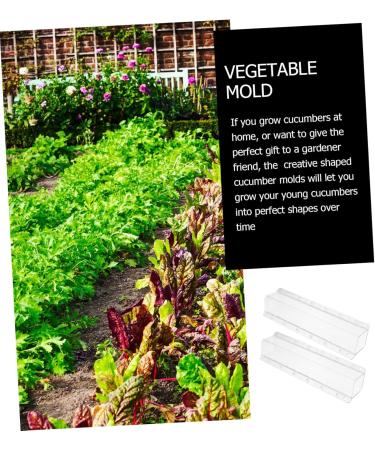 Toddmomy Vessel Tools 6 Pcs Square Cucumber Molds Vegetables Fruit Growing Molds Gardening Supplies Ginseng Fruit Gourd - Buy Online on GoSupps.com
