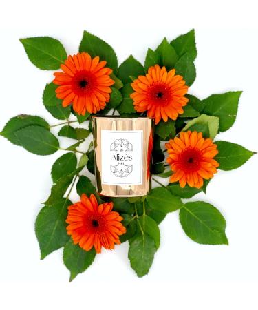 La Trop zienne Scented Candle - Made in France | Natural Beeswax Premium Fragrance 50-65 Hours Burn Time | Perfect Gift Idea - ALIZES PARIS - Buy Online on GoSupps.com