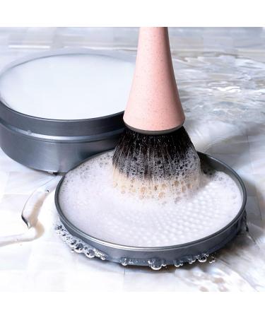 EcoTools Professional Makeup Brush Cleaner & Beauty Blender Dissolving Sheets | Plastic-Free Travel Size | 30 Sheets | Cruelty-Free & Vegan - Buy Online on GoSupps.com