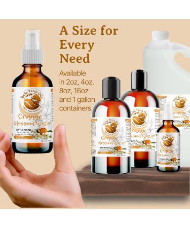 Bella Terra Oils - Organic Neroli Water 8 oz - A Gem of Hydrosol Waters Infused with Limonene & Linalool Revel in the Magic of Orange Blossom Toner 8 Fl Oz (Pack of 1) - Buy Online on GoSupps.com