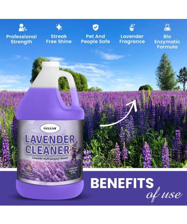 LAVENDER Multi-Purpose Cleaner 128oz - Extra Strong Floor Cleaner & Odor Eliminator - USA Made Deodorant Concentrate - Buy Online on GoSupps.com