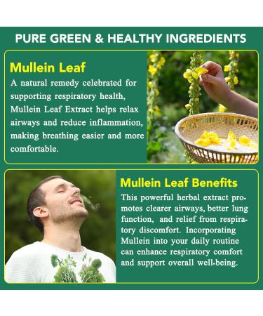 Mullein Gummies for Lung Detox 2PACK Mullein Leaf herb Extract for Lung Cleanse Support 2000mg Organic Mullein Herb Supplement for Daily Respiratory Health Gummies 60 Gummies - Buy Online on GoSupps.com