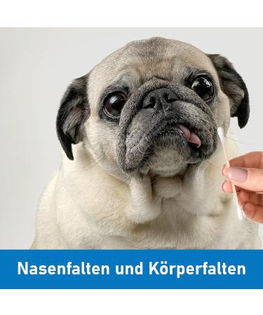 Kosmetex 100x Ear Cleaning Cotton Swabs for Dogs & Cats - 7.5 cm Eye & Ear Cleaner for Pets - Buy Online on GoSupps.com